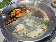 -渝大龙重庆火锅(温泉月亮湾店)