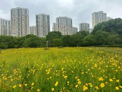 -白塘生态植物园