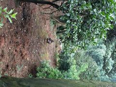 android_upload_pic-华雅花园大酒店