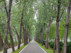 -微山湖红荷湿地景区