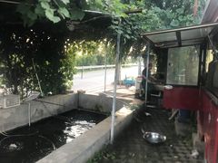 -北京龙庆四季香农家饭庄·灶台鱼·碳烤虹鳟鱼(龙庆峡店)