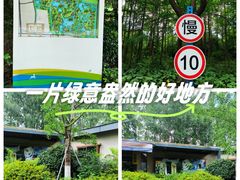 -昆山城市生态森林公园