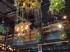 -同仁四季椰子鸡(海岸城天利店)