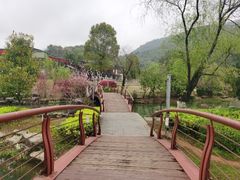 -桃花岭景区
