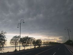 -呼兰河口湿地公园