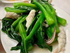 时菜炒鲜鱿-新陶陶酒家