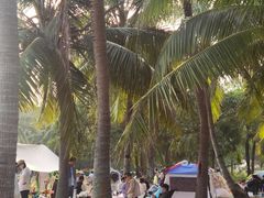 -白沙门生态公园