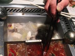 -野妹火锅(龙岗店)