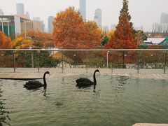 -南京圣和府邸豪华精选酒店