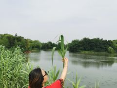 -梁鸿国家湿地公园