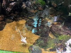 -太平洋海底世界