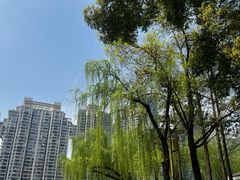 -西北湖绿化广场