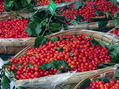 -南坛综合农贸市场