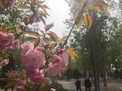 -坝河休闲公园