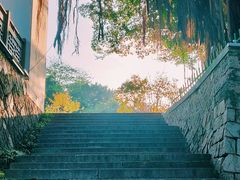 -乌山风景区