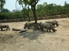 -野生动物园-停车场