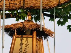 -沙家浜风景区