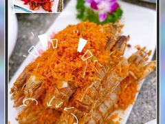 -亚龙湾热带天堂森林公园