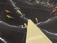 -涨巢·潮玩水疗局