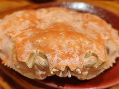 -日吉丸·鸟将军炭火融合酒馆(中央大街店)
