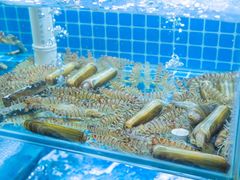 -山海蟹庐·海鲜糟粕醋火锅(慈溪店)