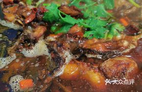 Catfish Hot Pot