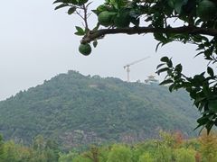 -狼山风景名胜区