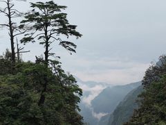 -峨眉山报国寺