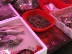 -厦门第七菜市场