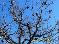 -吉姆冒险世界(蓟州店)
