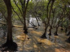 -宝安西湾红树林湿地公园