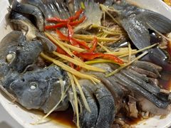 -煲来饱去冷水鱼