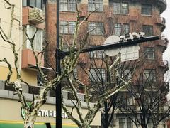 -星巴克(武康路店)