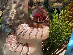 -外滩·云南人家(昆明旗舰店)