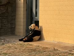 -石家庄市动物园