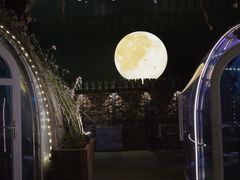 -1819餐厅·团队聚餐·烤串·精酿