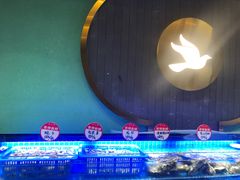 -鸽子侯·家宴·平价海鲜(市图书馆店)