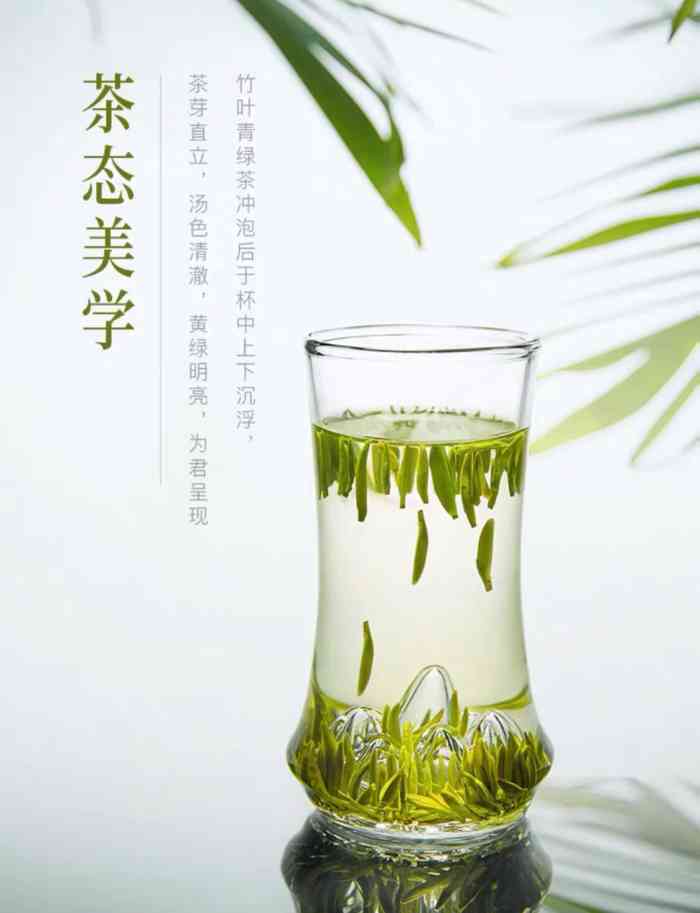 竹叶青(龙之梦购物中心店)-"总公司在成都,专卖四川成都峨眉山的茶叶