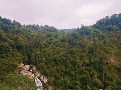 -海南热带雨林国家公园吊罗山景区