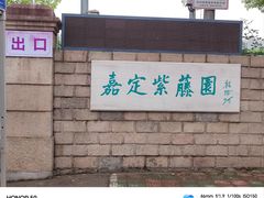 -嘉定紫藤园