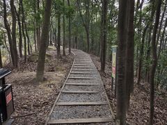 -南山植物园