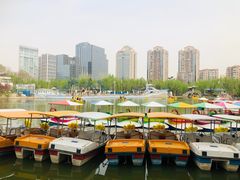 -团结湖公园