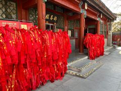 -白云观