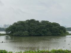 -海珠湖公园