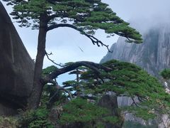 -黄山风景区