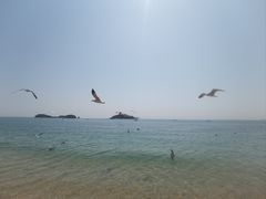 -傅家庄公园