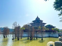 -顺峰山公园