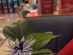 -Mezomd曼索蒂西班牙餐厅(广粤店)
