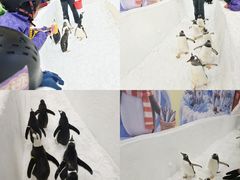 -广州热雪奇迹