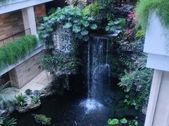 -白天鹅宾馆-宏图府餐厅